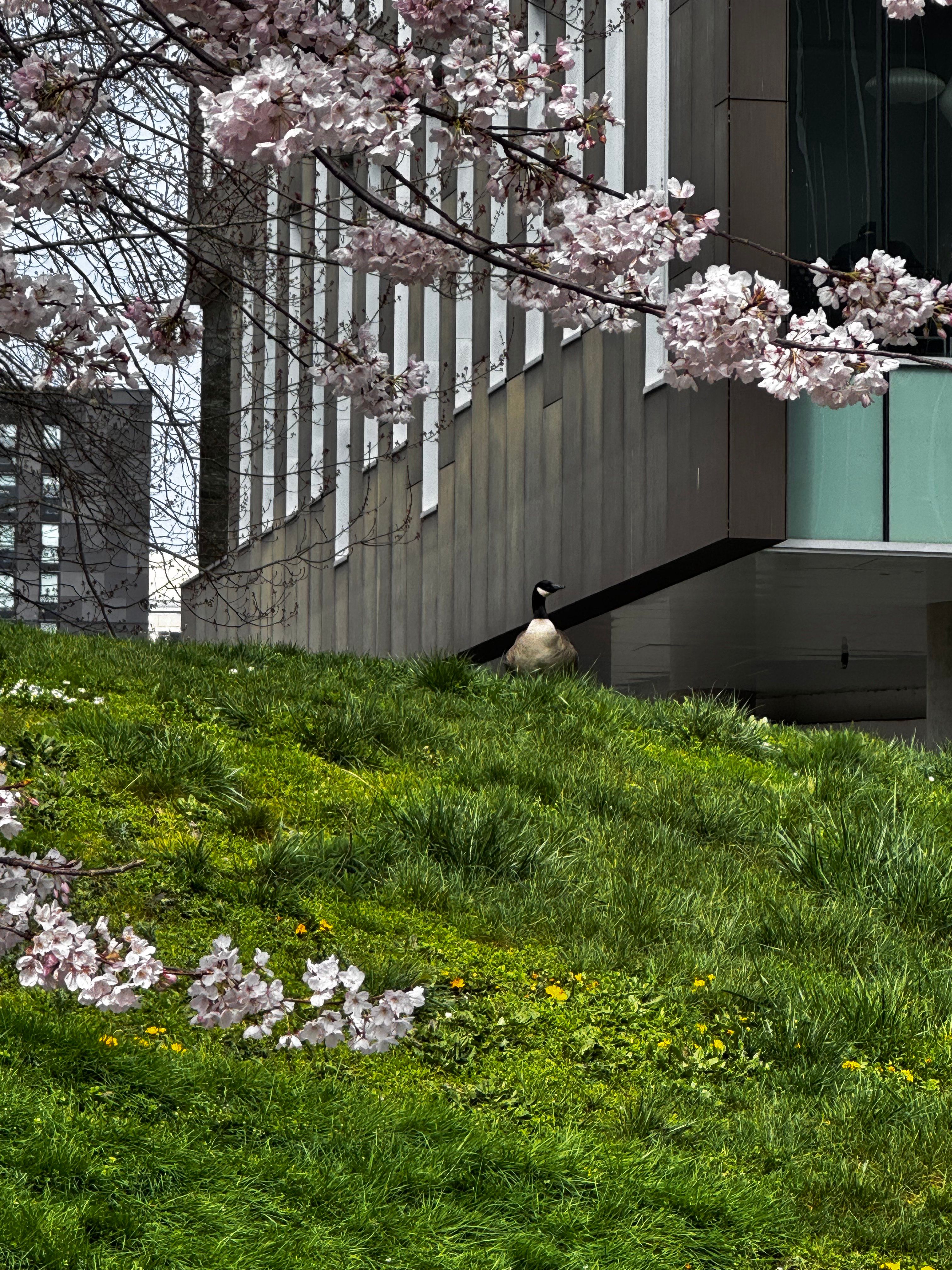 AtmosphereConf Day One