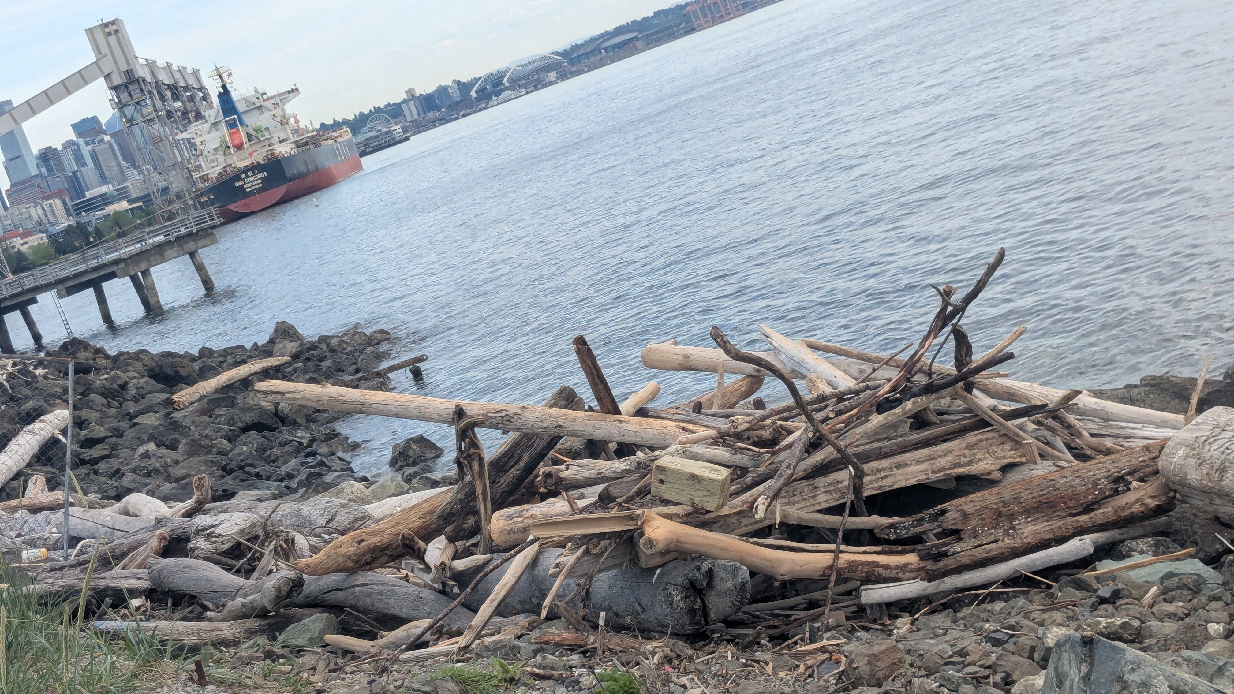 this driftwood must mean something 

#photography #streetphotography