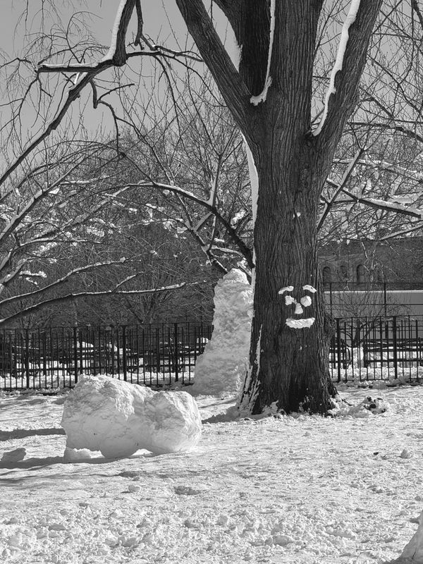 tree with smile on it